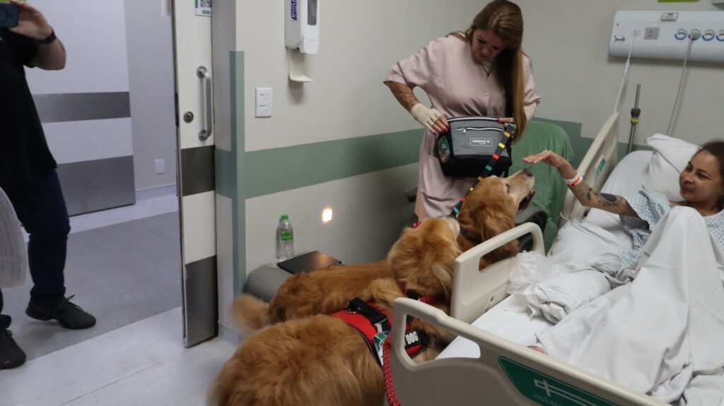 Terapia assistida por animais é adotada pelo Hospital Unimed Campinas