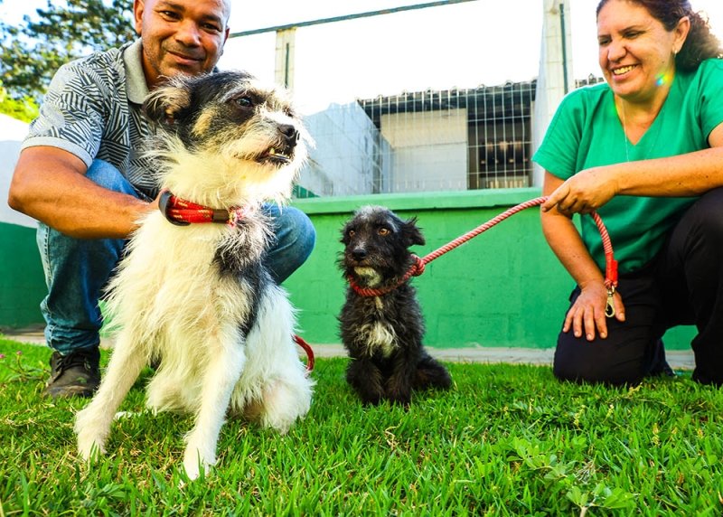 1ª Feira Pet do Mercadão da Cidade de Santa Bárbara acontece neste sábado