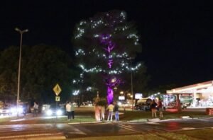 Árvore Iluminada encanta quem passa pelo Parque Linear em Jaguariúna