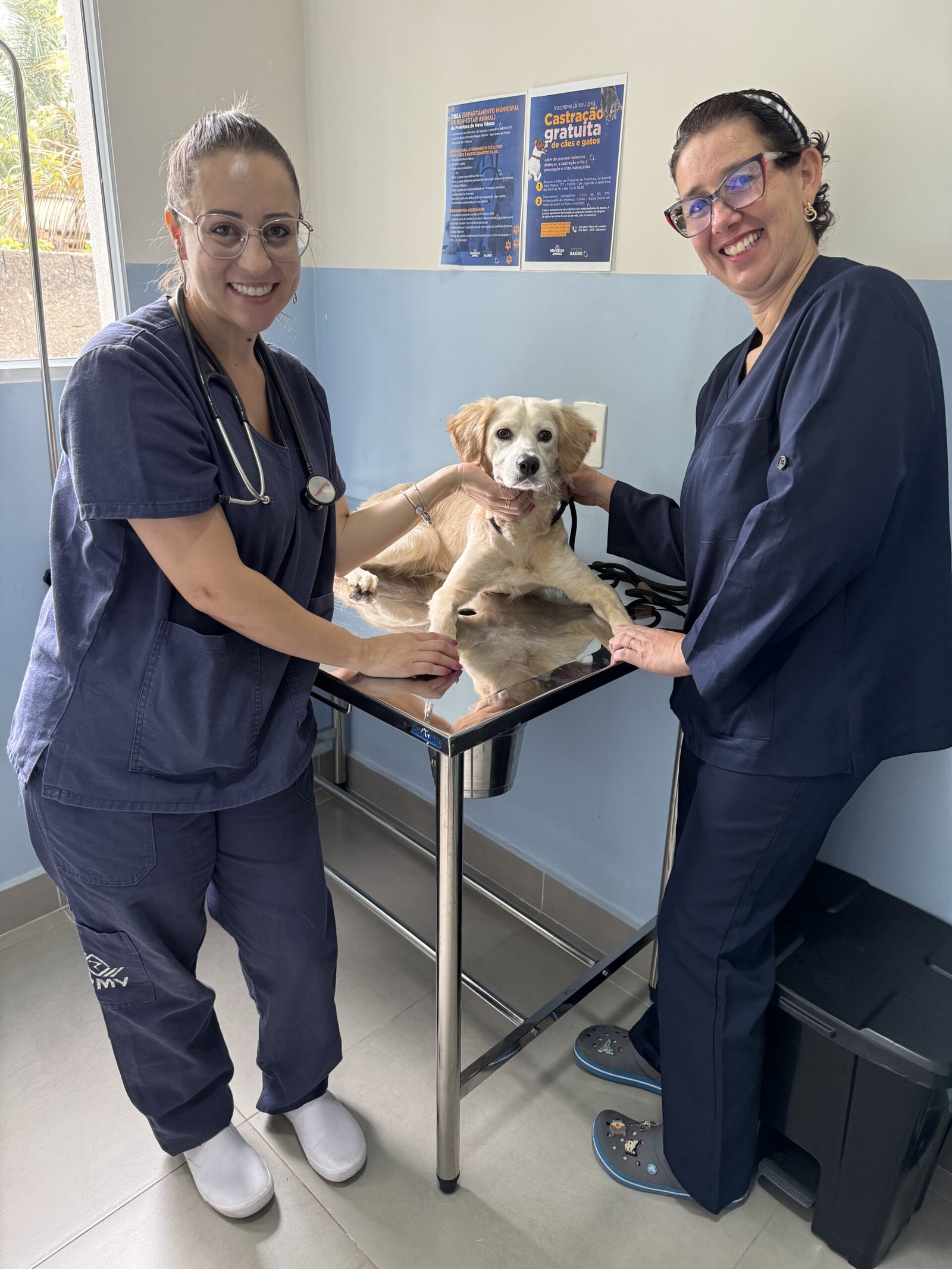 Bem-Estar Animal de Nova Odessa realizou 6,3 mil procedimentos desde inauguração em 2024