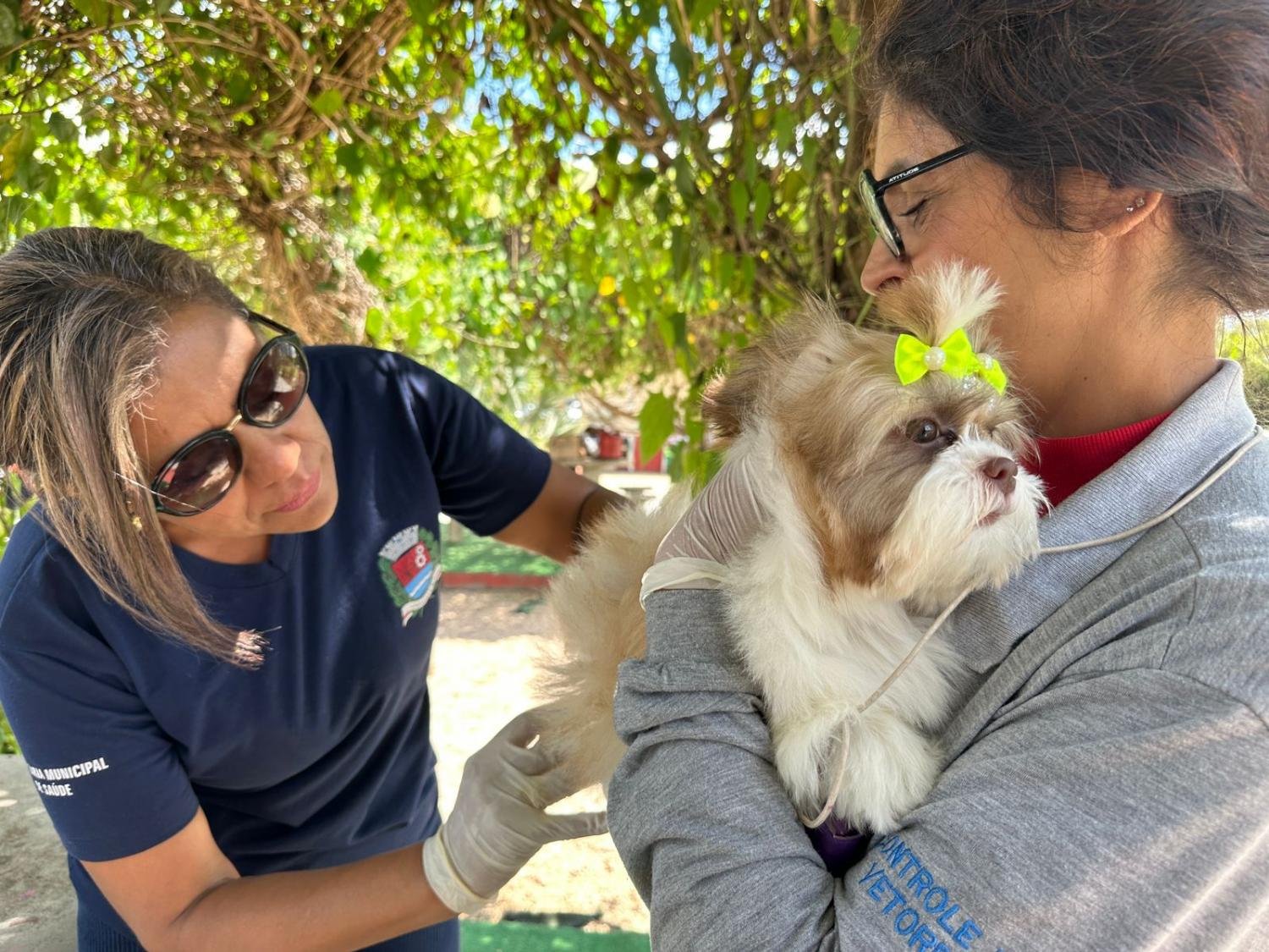 Indaiatuba promove vacinação antirrábica gratuita no dia 25