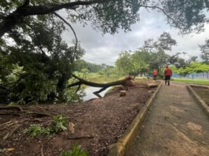 Parque Zeca Malavazzi é fechado em Paulínia por segurança dos visitantes