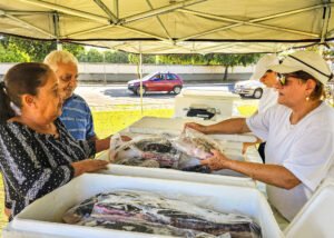 Varejão de Peixes da Semana Santa segue até esta sexta-feira em Santa Bárbara