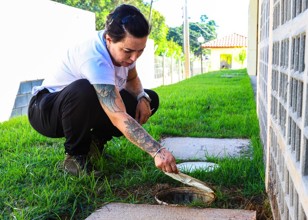 Santa Bárbara identifica Aedes aegypti em 73% das amostras com larvas de mosquito