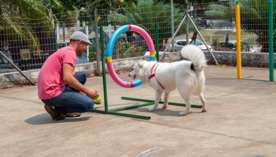 12ª Feira Pet de Americana promove dia de diversão e solidariedade no CCL