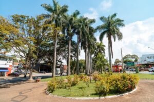 Valinhos é destaque no Estadão como cidade mais arborizada entre médias e grandes do Brasil