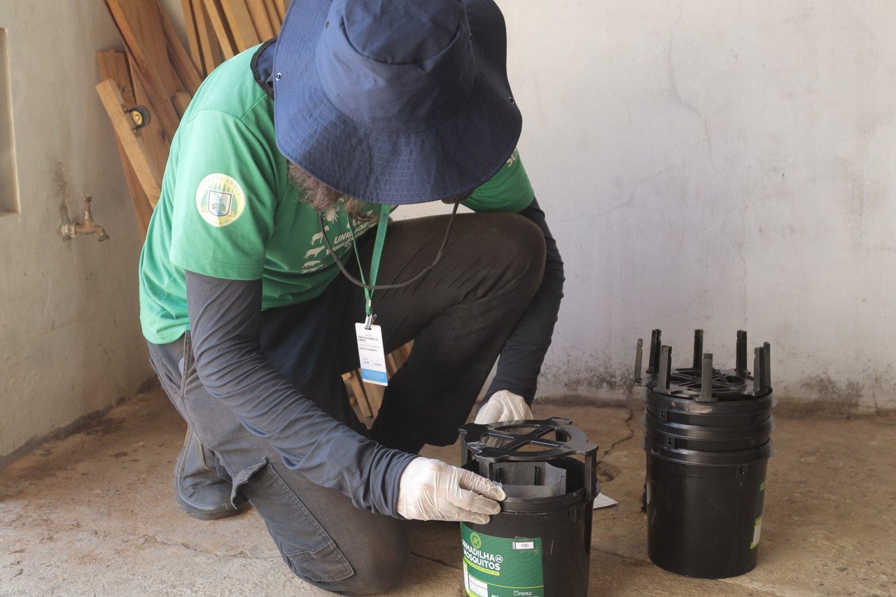 Armadilhas colocadas em casas de Hortolândia reduzem número de Aedes aegypti