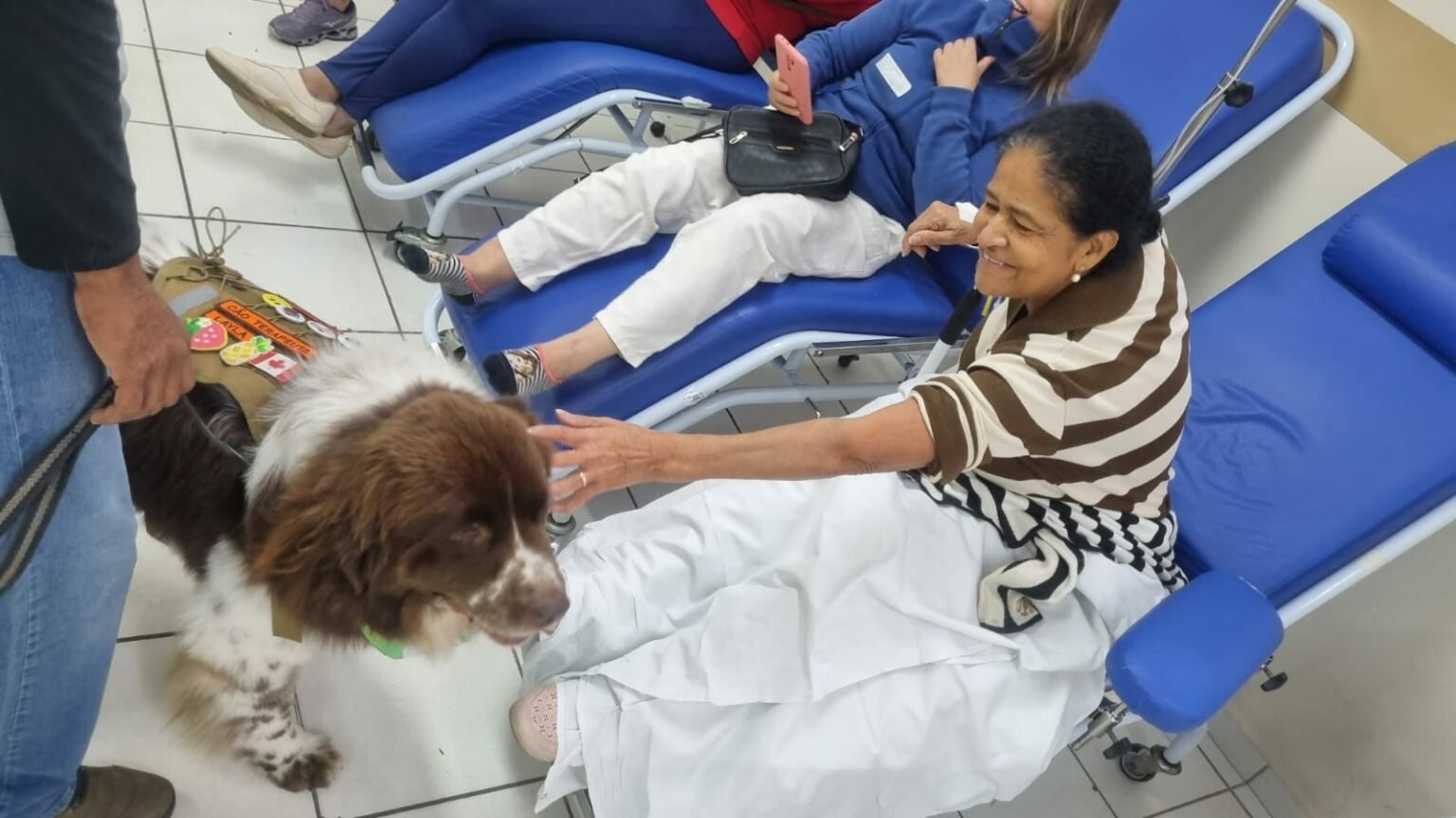 Cães adestrados alegram pacientes internados no Hospital Municipal de Hortolândia