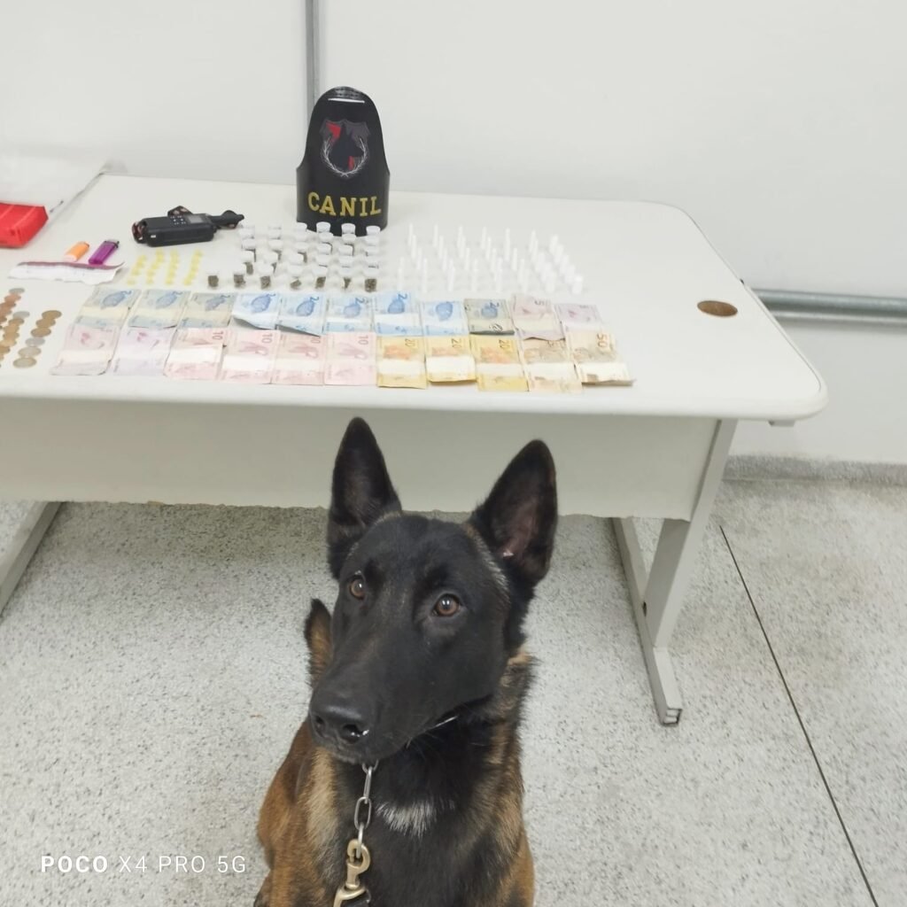 GM de Louveira faz apreensão de entorpecentes em operação com cães