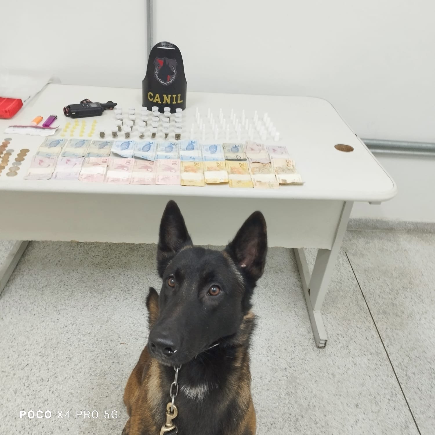 GM de Louveira faz apreensão de entorpecentes em operação com cães
