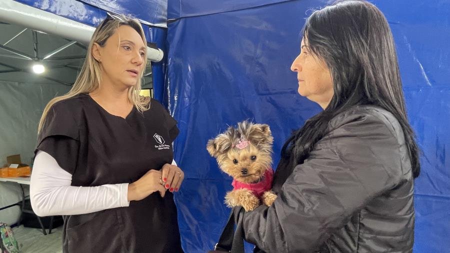 Prefeitura de Limeira castra 331 cães e gatos durante mutirão no Parque Cidade