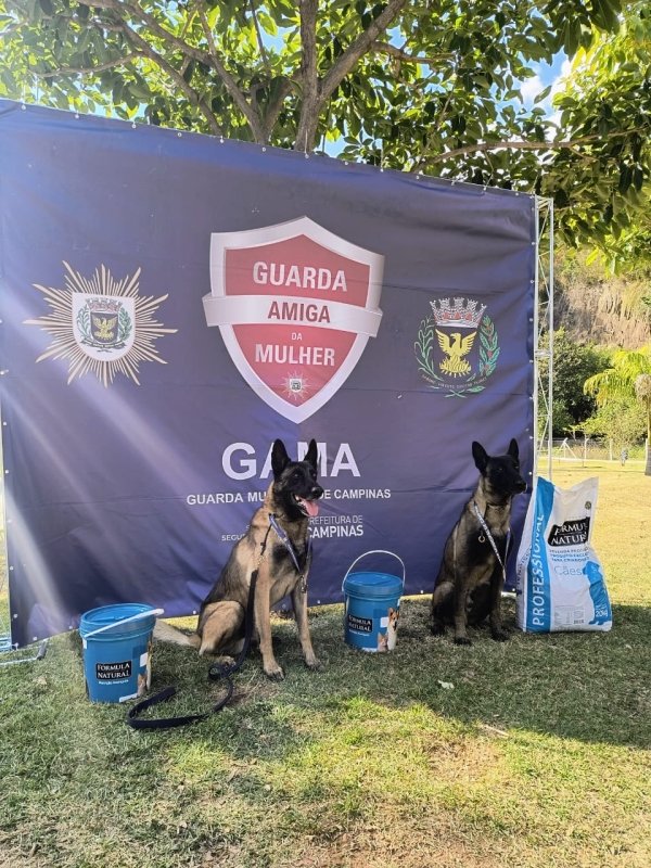 Canil da GCM de Vinhedo conquista 2º lugar nas Olimpíadas Nacionais das Guardas Municipais