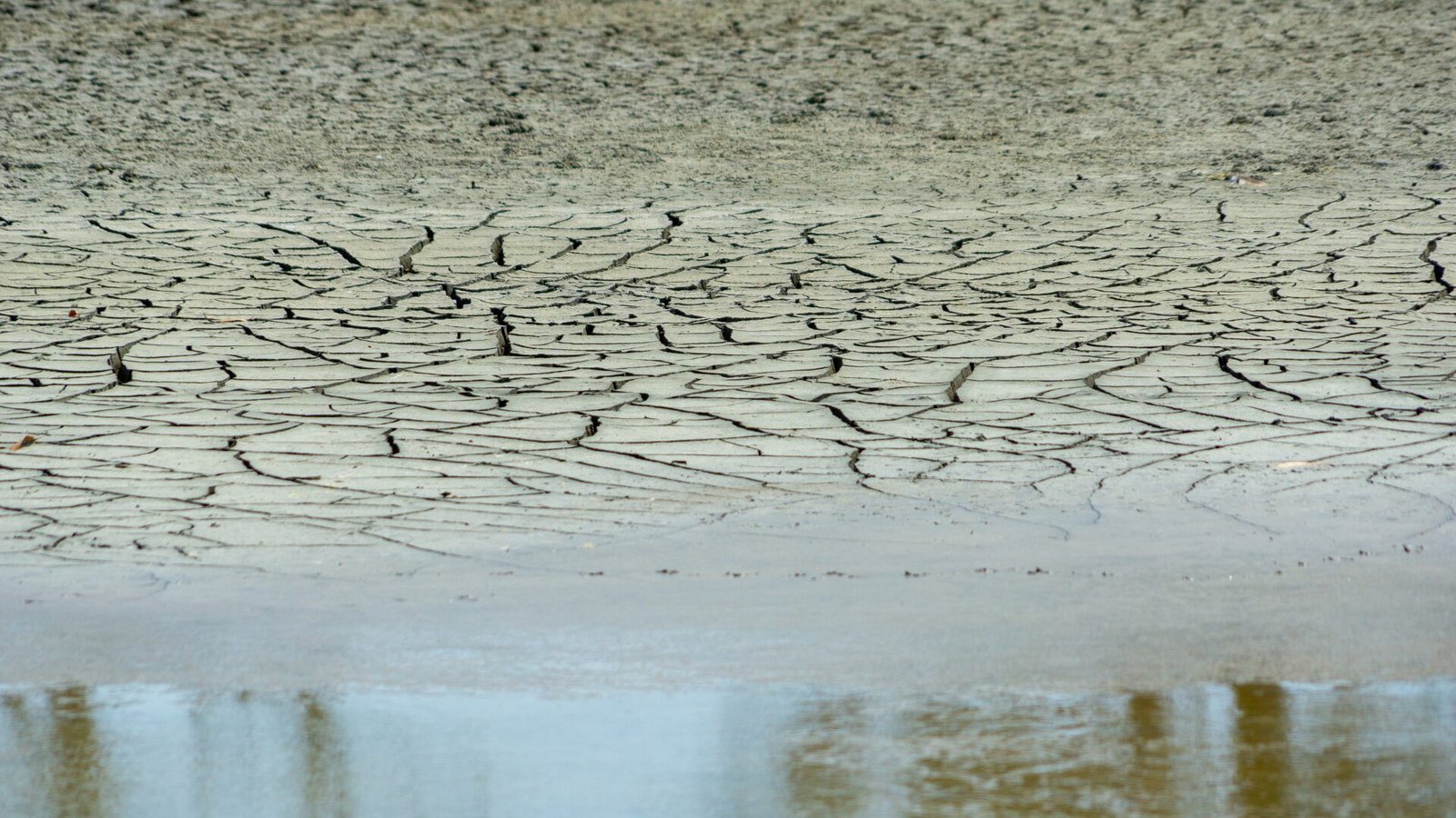 Jaguariúna entra em estado de atenção por baixa umidade do ar