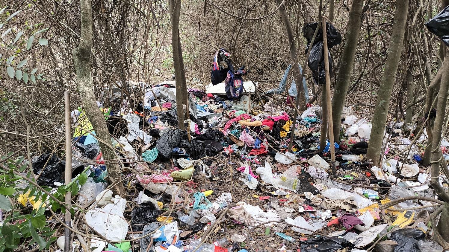 Mutirão de limpeza retira mais de 3,6 toneladas de lixo no Floresta Parque de Indaiatuba