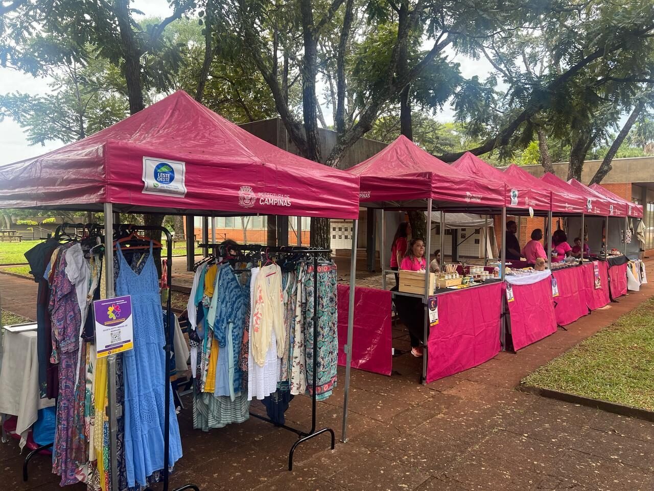 Última semana do Agosto Lilás em Campinas tem programação especial