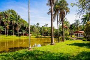 Jardim Botânico de Paulínia passa a abrir todos os dias