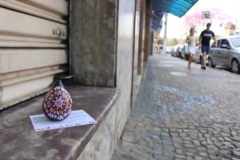 Museu Municipal de Valinhos recebe exposição de fotografia ‘Salvem nossos Figos’