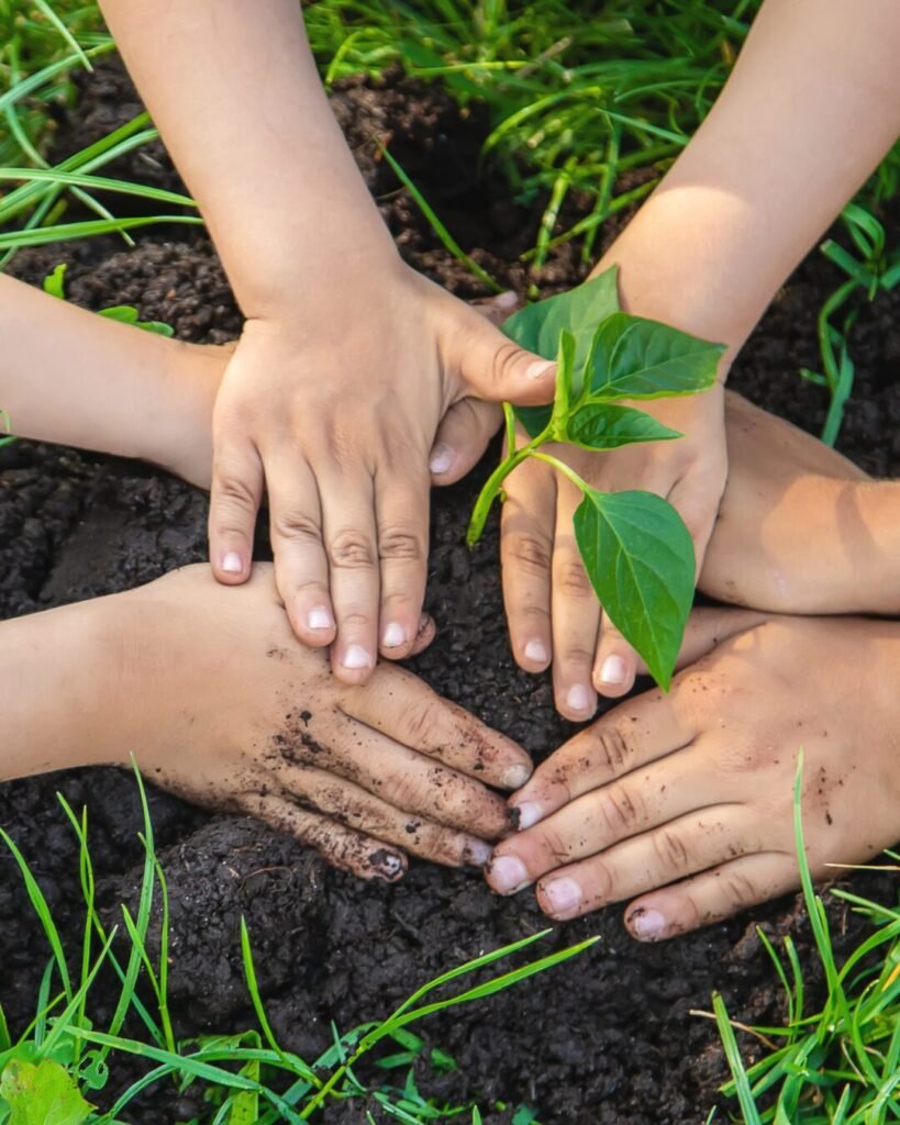 Após incêndio no Jardim Firenze, Escolinha Todotom promove plantio de 80 mudas em ação de reflorestamento