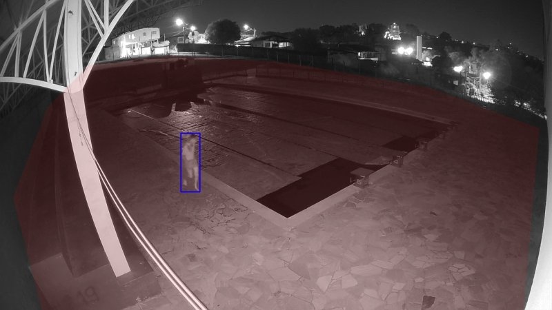 Inteligência artificial auxilia GCM de Vinhedo a identificar indivíduos 