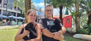 Campanha de Natal garante adoção de filhotes e encerra neste sábado em Vinhedo