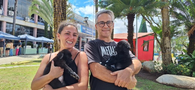 Campanha de Natal garante adoção de filhotes e encerra neste sábado em Vinhedo