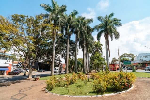 Valinhos é destaque no Estadão como cidade mais arborizada entre médias e grandes do Brasil