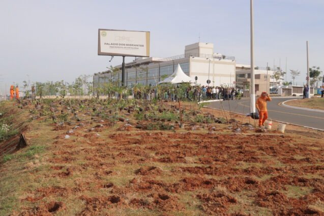 Área ao lado do Paço Municipal de Hortolândia ganha microfloresta urbana