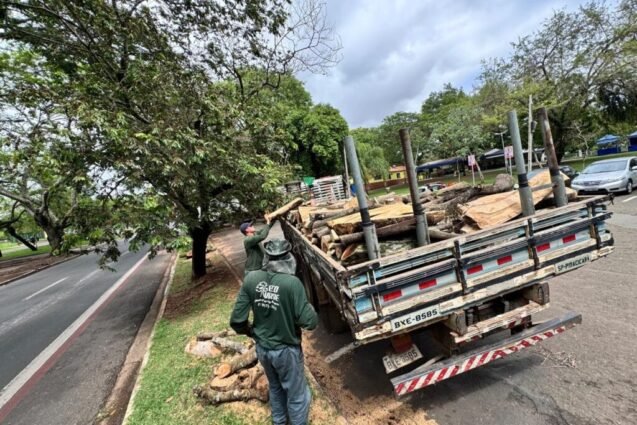 Força-tarefa atua para minimizar danos causados pelas chuvas em Piracicaba