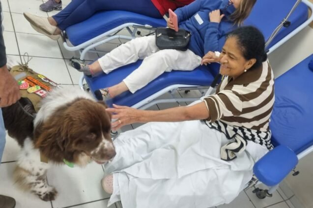 Cães adestrados alegram pacientes internados no Hospital Municipal de Hortolândia