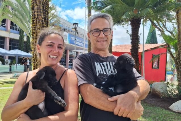 Campanha de Natal garante adoção de filhotes e encerra neste sábado em Vinhedo