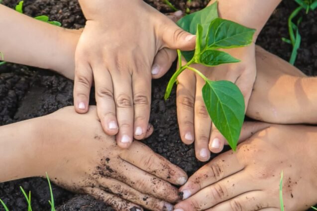 Após incêndio no Jardim Firenze, Escolinha Todotom promove plantio de 80 mudas em ação de reflorestamento