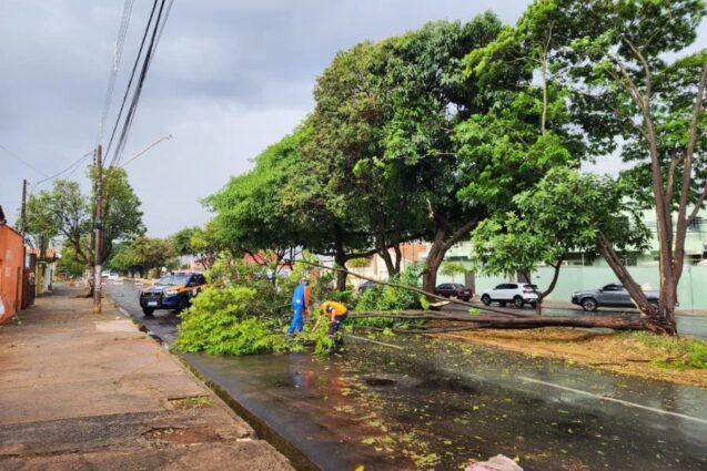 Defesa Civil alerta para previsão de novos temporais em Limeira