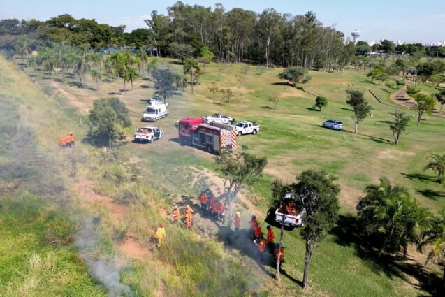 Defesa Civil alerta para rajadas fortes de vento entre terça e quarta-feira em Campinas e região