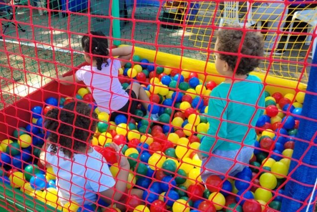 Feira Arte na Praça de Valinhos terá atrações infantis e espaço dedicado a venda de vinis