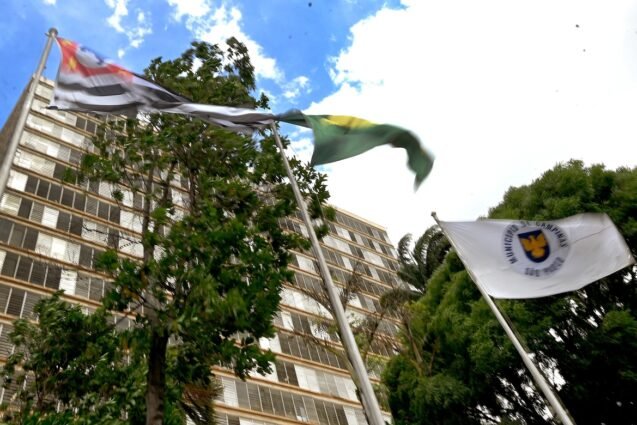 Fortes ventos atingem Campinas e causam queda de árvores