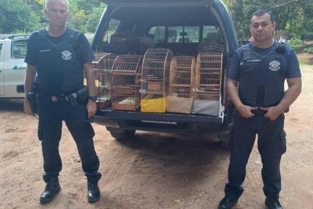 GAPA de Vinhedo apreende aves silvestres mantidas irregularmente em residência