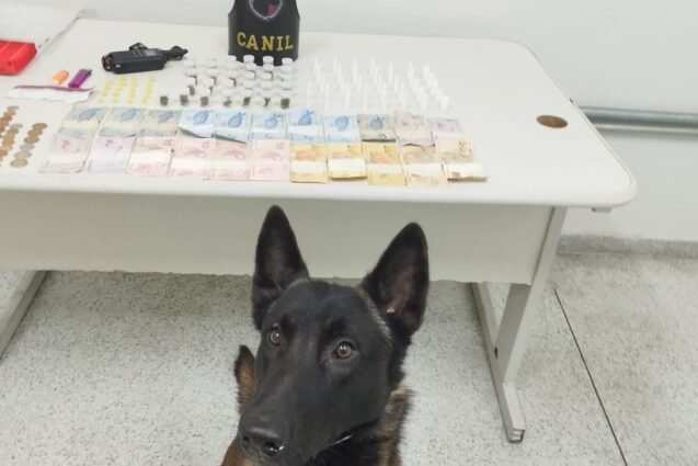 GM de Louveira faz apreensão de entorpecentes em operação com cães