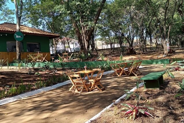 Nova Odessa entrega revitalização do Bosque Manoel Jorge nesta 5ª-feira, Dia Mundial do Meio Ambiente