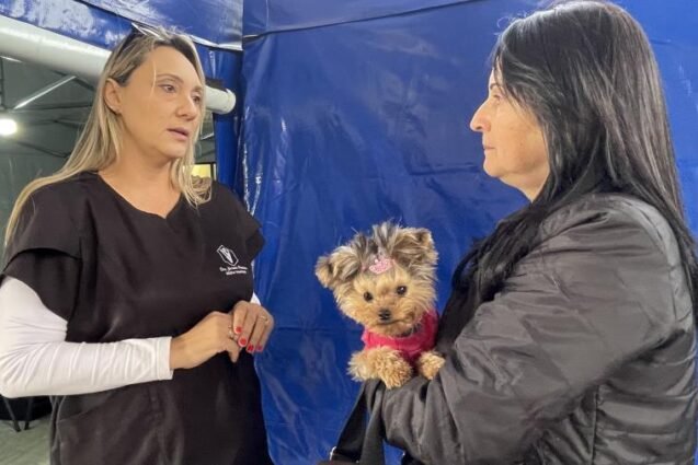 Prefeitura de Limeira castra 331 cães e gatos durante mutirão no Parque Cidade