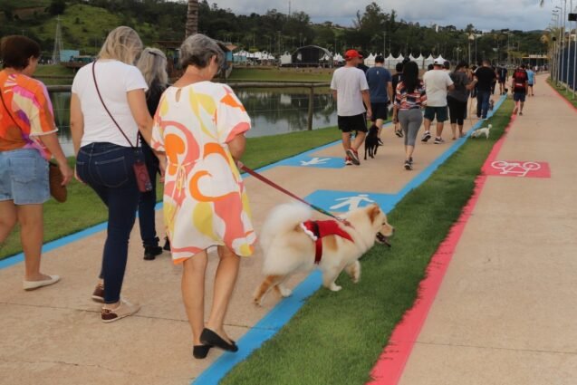 Prefeitura de Louveira realiza a Segunda Cãominhada de Louveira