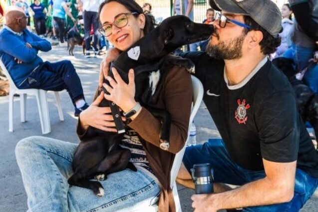 Programa Municipal de Castração 2025 de Paulínia acontece nos dias 8 e 9 de novembro