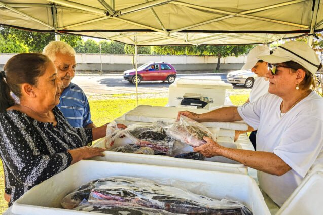 Varejão de Peixes da Semana Santa segue até esta sexta-feira em Santa Bárbara