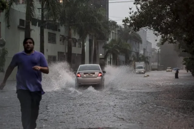 chuva_ jardim