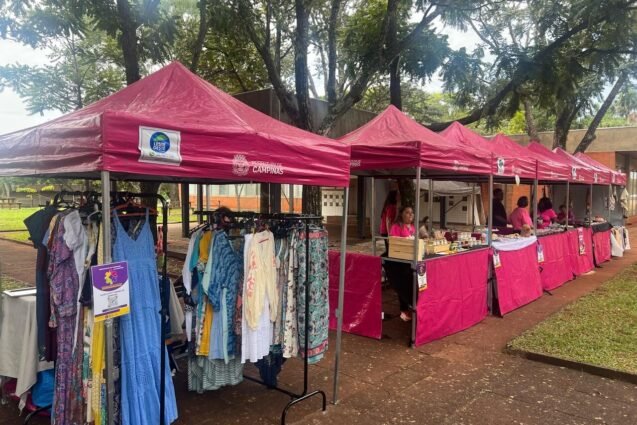 Última semana do Agosto Lilás em Campinas tem programação especial